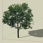 A 2d tree textured tree that casts correct shadow