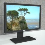 Dell and HP 19" widescreen monitors.