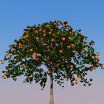 Orange tree in the Geometree 
series...constructe...