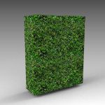 A 6ft / 2m high hedge module with slightly uneven ...