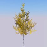 View Larger Image of Low poly Birch 01