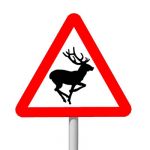 European warning sign: Wild animals  Animaux libre...