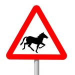 European warning sign: Wild horses   Chevaux libre...
