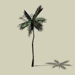 Sketchup Model of a coconut tree