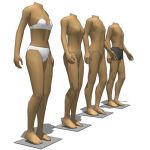 Segmented shop mannequins. The limbs and torso are...