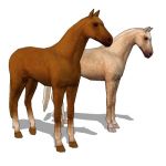 Chestnut and Palomino horses