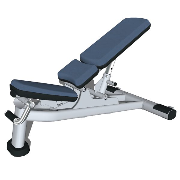 Signature Series Multi-Adjustable Bench by Life Fi.... 