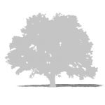 2D Face Me tree silhouette. In white, for ghosting...