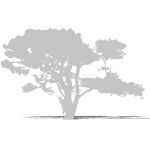 2D Face Me tree silhouette. In white, for ghosting...