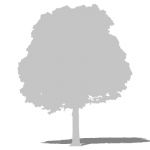 2D Face Me tree silhouette. In plain white, for gh...