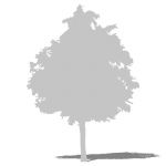 2D Face Me tree silhouette. In plain white, for gh...