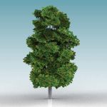 A very low-poly generic deciduous tree (Elm shaped...