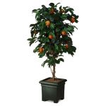 Small orange tree in planter, entirely 2D, includi...