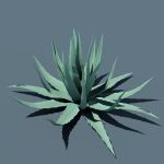 Higher poly agaves...suitable for render. Various ...