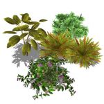A selection of 4 small generic shrubs. Low-poly sk...