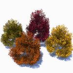4 generic, colourful bushes.