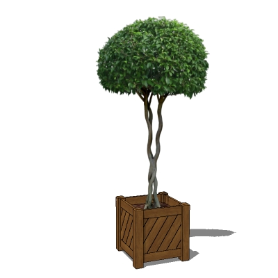 HQ plants are 2D billboards in a 3D pot (in order .... 