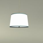 This is the Adler Pendant light from Restoration H...