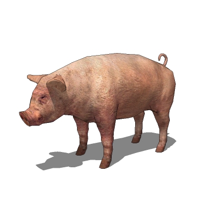 Four configurations of low-poly adult pigs. 