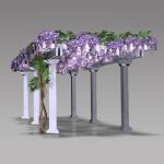 Pergola with wisteria plant. This is available in ...
