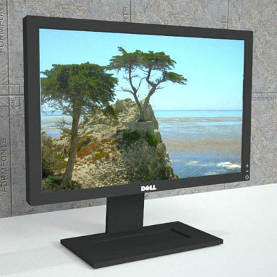 Dell and HP 19" widescreen monitors.. 