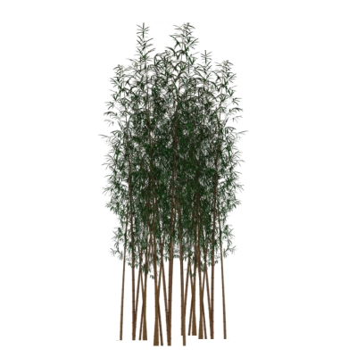 Tree Bamboo 3D Model - FormFonts 3D Models & Textures
