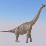 Model of Brachiosaurus in 3 poses. There are enoug...
