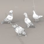 Sketchy Pigeons 10