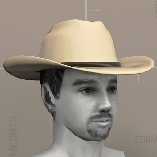 Cowboy Hat. 