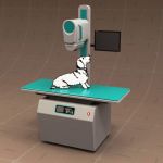 Portable Veterinary X Ray Machine
Note: The pet i...