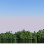 2D seamless backdrop of 
mangroves, which can be ...
