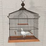 Generic Bird Cage