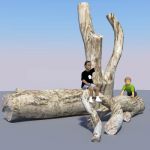 Stripped, large logs, suitable for 
use in 
adve...