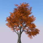 High Definition generic tree...for when nothing el...