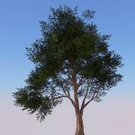 Higher poly generic tree, for when nothing else wi...