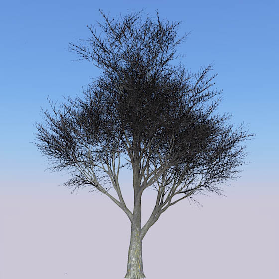 Higher poly generic tree, for when nothing else wi.... 