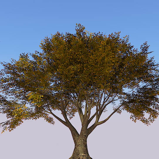 Higher poly generic tree, for when nothing else wi.... 