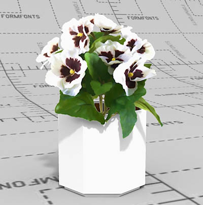 2.5D collection of Pansies (Viola tricolor). Compr.... 