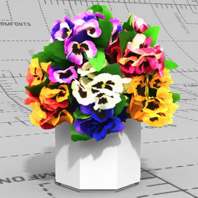 2.5D collection of Pansies (Viola tricolor). Compr.... 