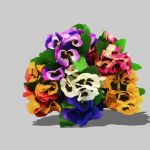 2D Pansies (Viola tricolor)