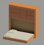 Closet with folding bed