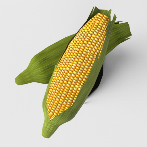 Fully textured model of corn.. 