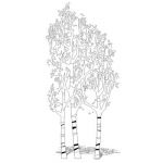 CAD style silver birch trees