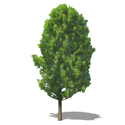 NPR generic deciduous tree. 