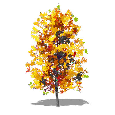 Set of generic variants in Autumn foliage. 