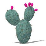 Low-poly Prickly Pear cactus (genus Opuntia)