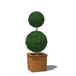 A selection of small box topiary