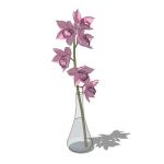 An orchid in a vase