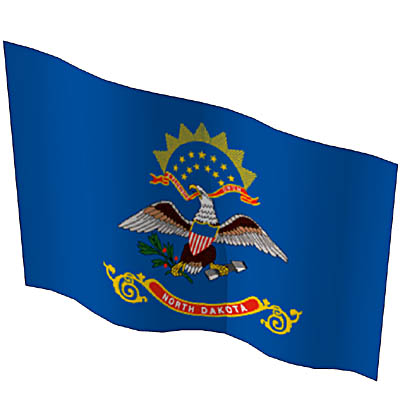 The state flags of New York, North Carolina, North.... 