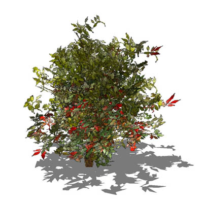 Very Low poly generic shrub. Approx. 4ft / 1.2m hi.... 